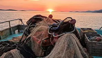 Mudanya Balıkçısı
